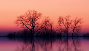 热刺主场压哨绝杀，夺得三分