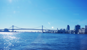 伯恩茅斯大胜对手，继续向前冲