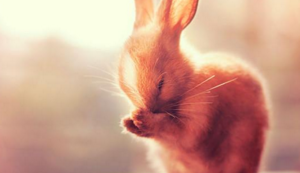 伯恩茅斯大胜对手，继续向前冲